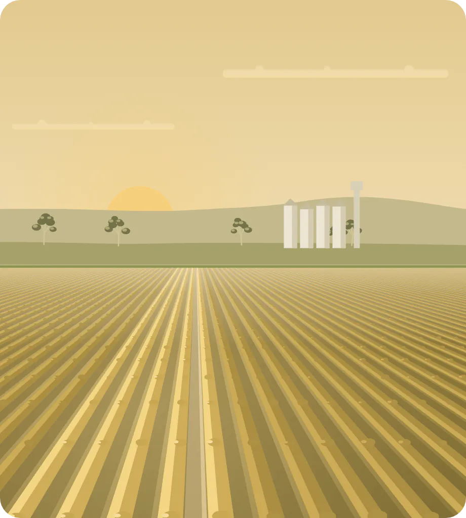 Early morning near Tamworth: a ripe wheat paddock in rows, grain silos on the rise and the hills beyond.