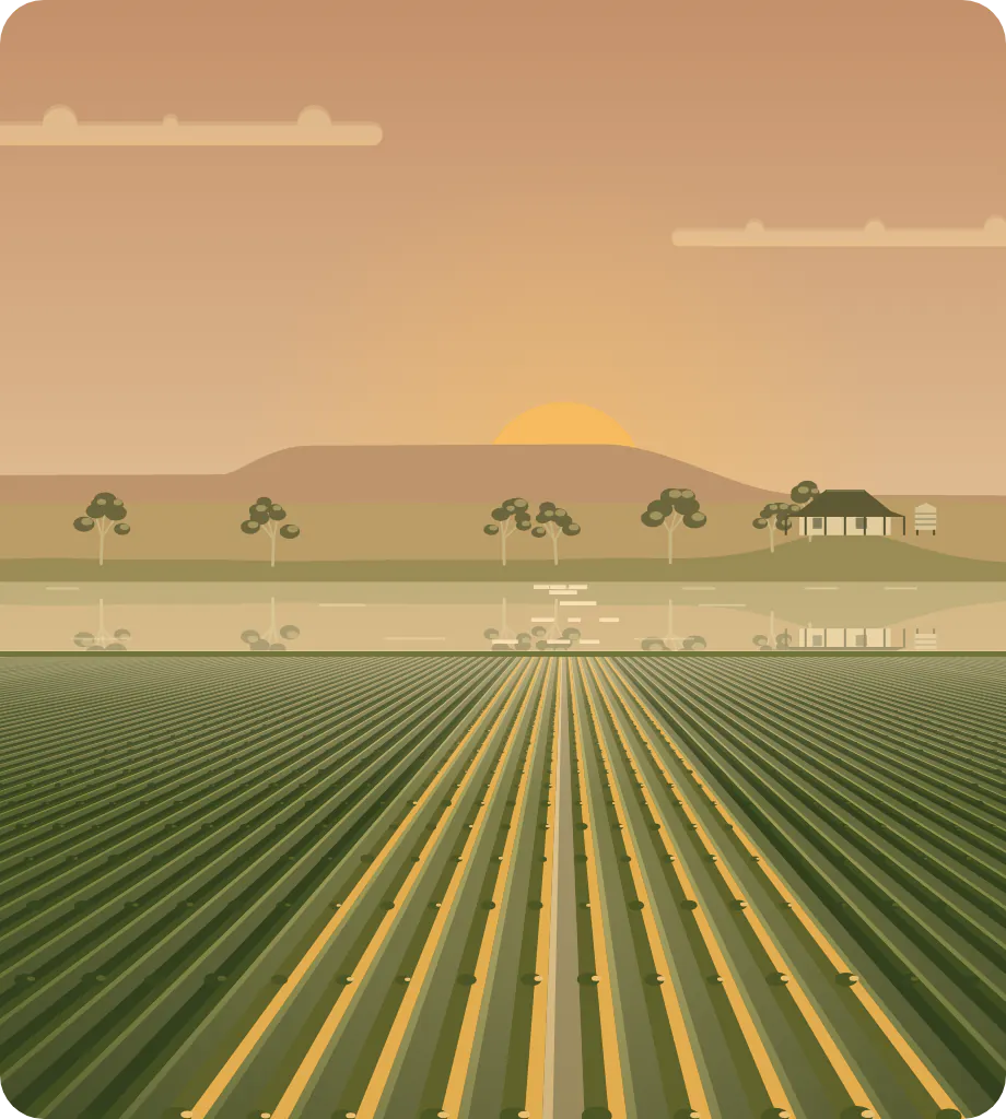 A Hunter Valley vineyard at golden hour: rows of vines running to a farm dam, a homestead and the escarpment.