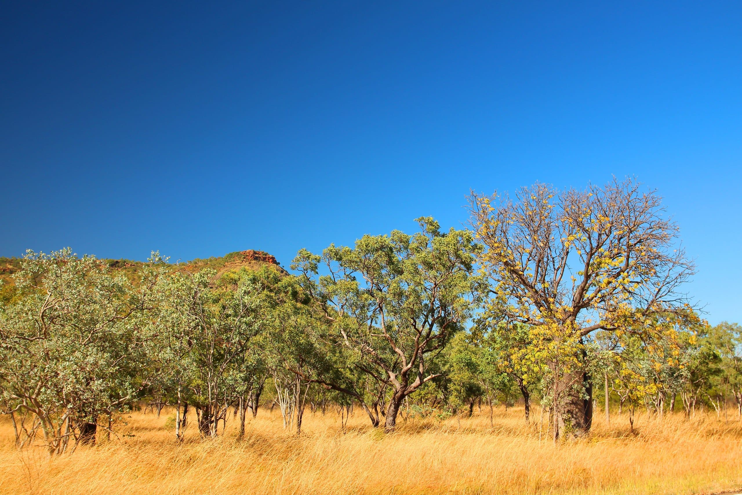 Is Timber Creek, NT a good place to live?|