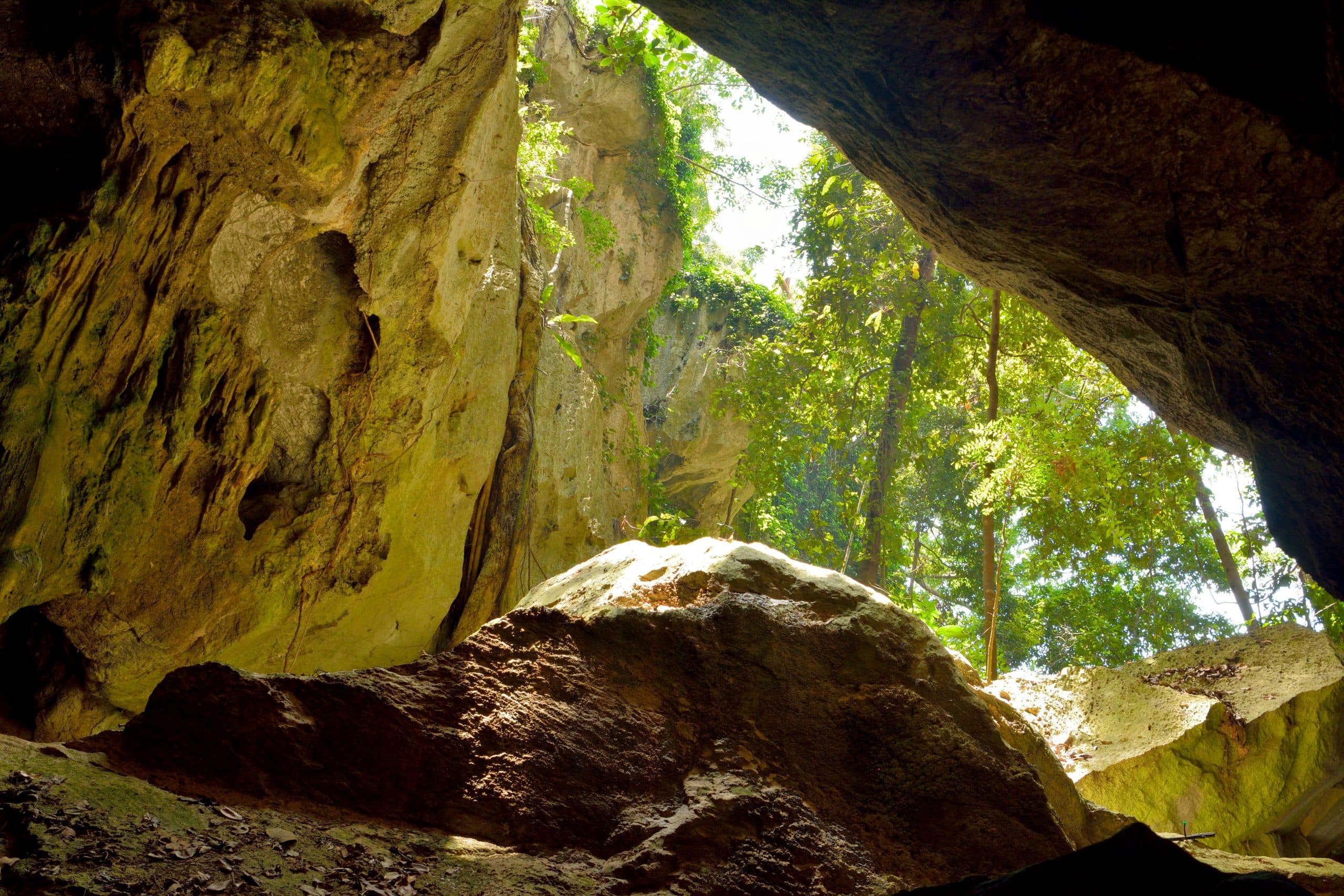 Is The Caves, QLD a good place to live?|